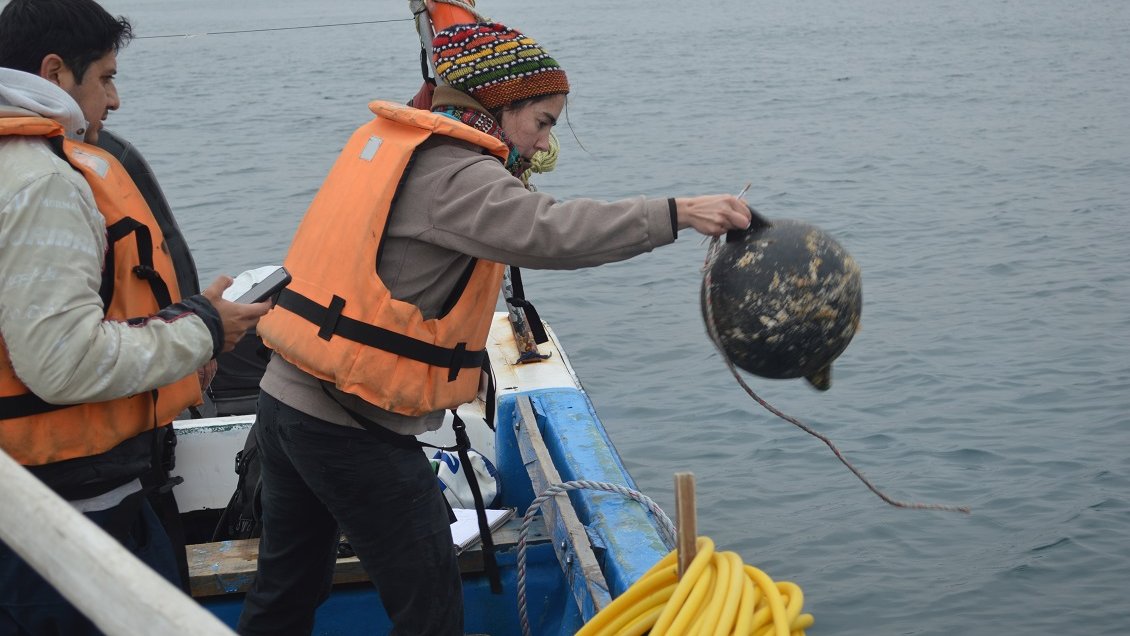 Instalan sensores para medir efectos del cambio climático en la Bahía de Coquimbo