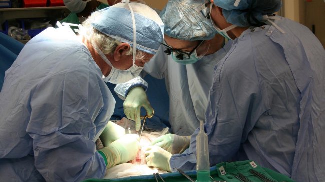  Pacientes acusan que Fonasa no está financiando trasplantes con donantes vivos  