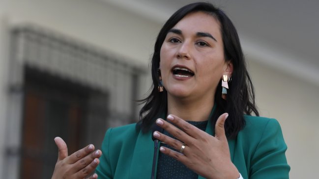 Gobierno ingresará indicaciones al proyecto que crea el Ministerio de Seguridad Pública