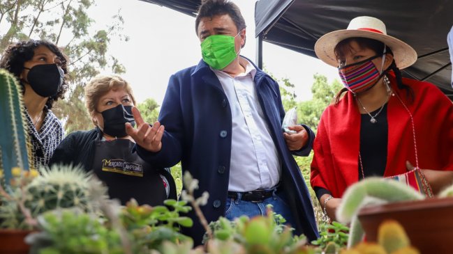   Ministro anunció emergencia agrícola para la Región de Arica y Parinacota 