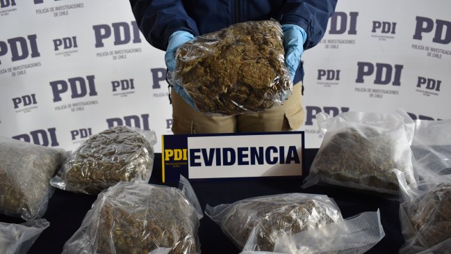 Aysén: Incautan 12 kilos de droga entre marihuana, tusi y cocaína