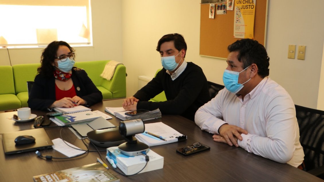 Gobernadora de Aysén busca dejar sin efecto decreto que traspasa cuota de erizo a Los Lagos