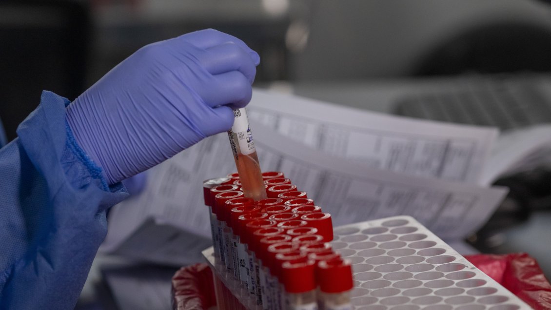 Detectan en China 35 casos en humanos de un nuevo virus de origen animal