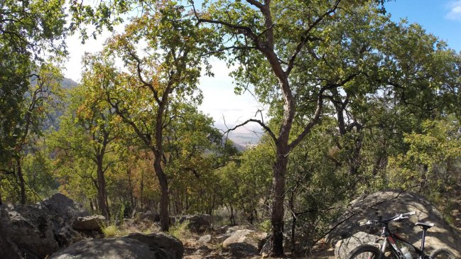 Crean mesa de trabajo para conservación de cerro Pangalillo en San Fernando