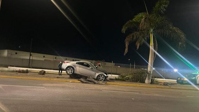 Municipio de Arica emprenderá acciones legales contra conductor que derribó dos palmeras