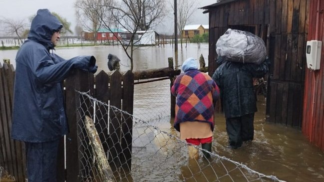 Al menos 50 viviendas afectadas en Contulmo por desborde de tres ríos