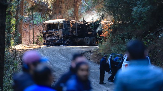 Proyecto que tipifica el delito del robo de madera dio otro gran paso en el Senado