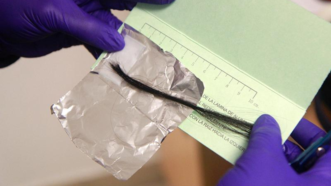 Un mechón de pelo: cómo funciona la prueba de drogas que se aplicará a los diputados