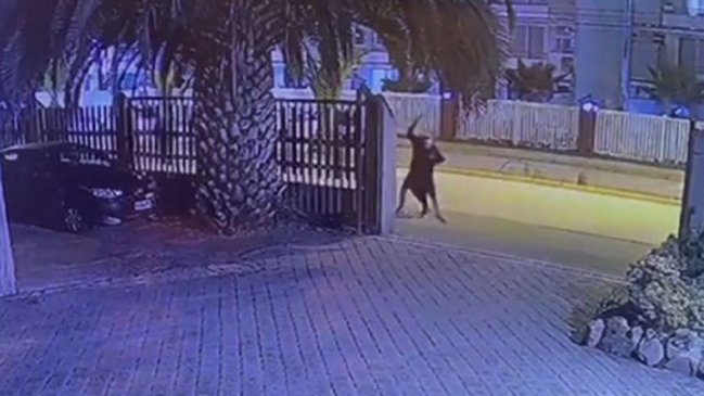 PDI detuvo a uno de los dos sospechosos de atacar a adolescente en La Serena: el otro murió en un enfrentamiento en Perú