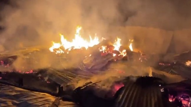 Gobierno se querellará tras graves atentados terroristas en Cañete