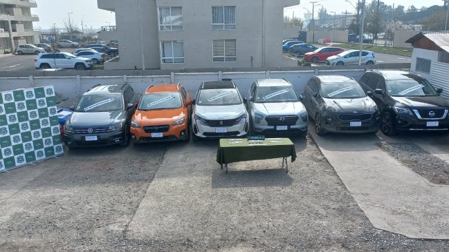 O'Higgins: Operativo de Carabineros deja seis detenidos y seis vehículos recuperados