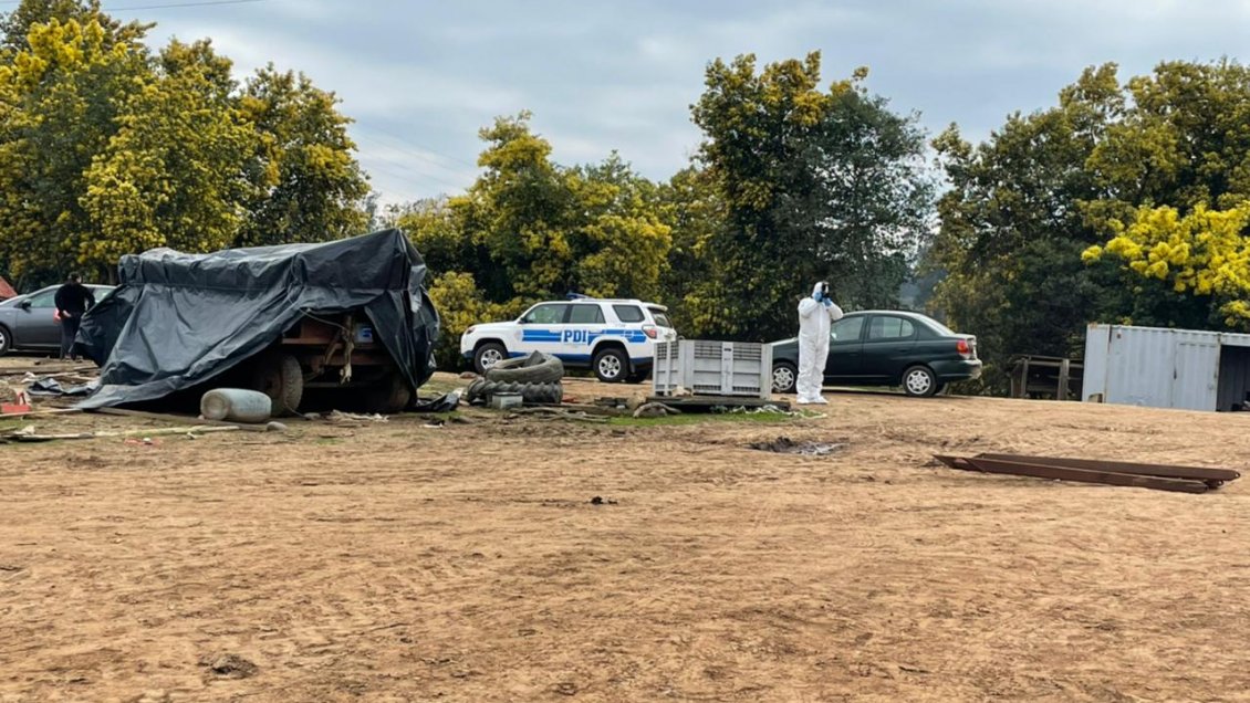 Asaltan fundo en Pelarco: Trabajadores fueron atados y 60 animales robados