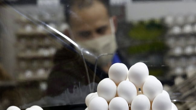   ¿Cuántos huevos se producen al mes en Chile? 