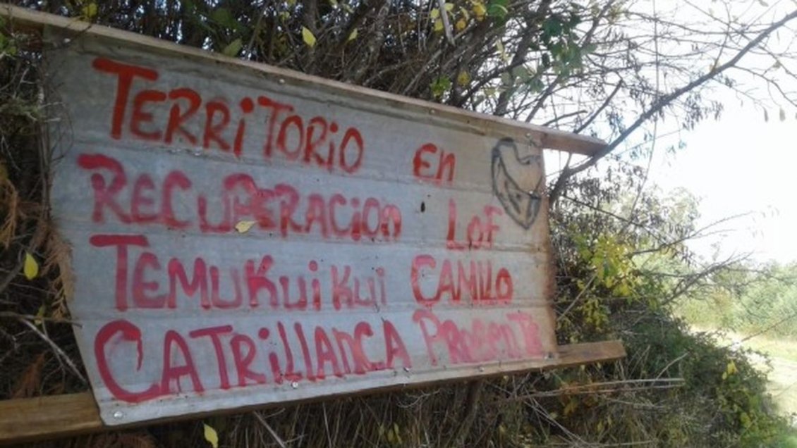 Agricultores de Malleco llamaron a la clase política a estar a la altura tras el triunfo del Rechazo