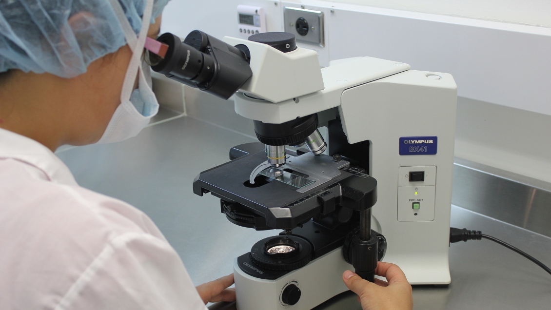 Científicos descubrieron una proteína que podría mejorar los tratamientos de fertilidad