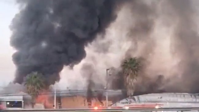 Incendio afectó a bodega distribuidora de alimentos a cadenas hoteleras y casinos