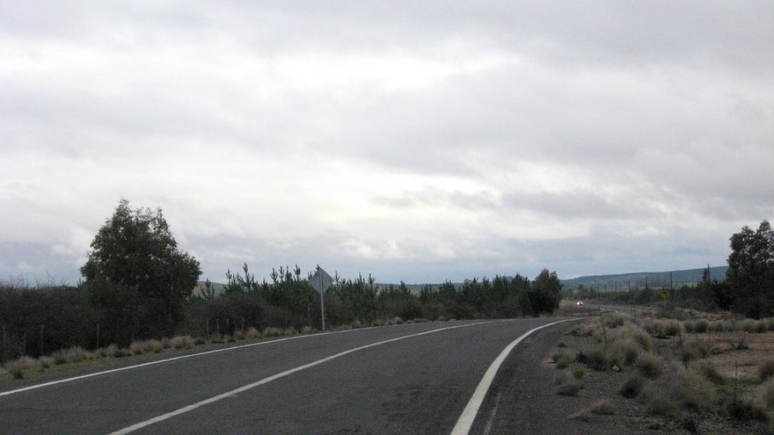 Diputados del Maule piden incluir en el Presupuesto 2023 construcción de doble vía para 