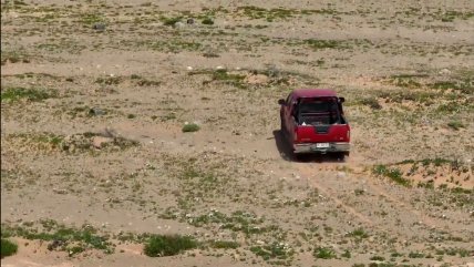   Indignación por conductor que atravesó el desierto florido con su camioneta 