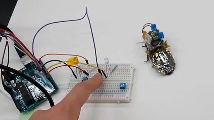   Científicos desarrollan cucarachas cyborg para colaborar con rescates tras derrumbes 