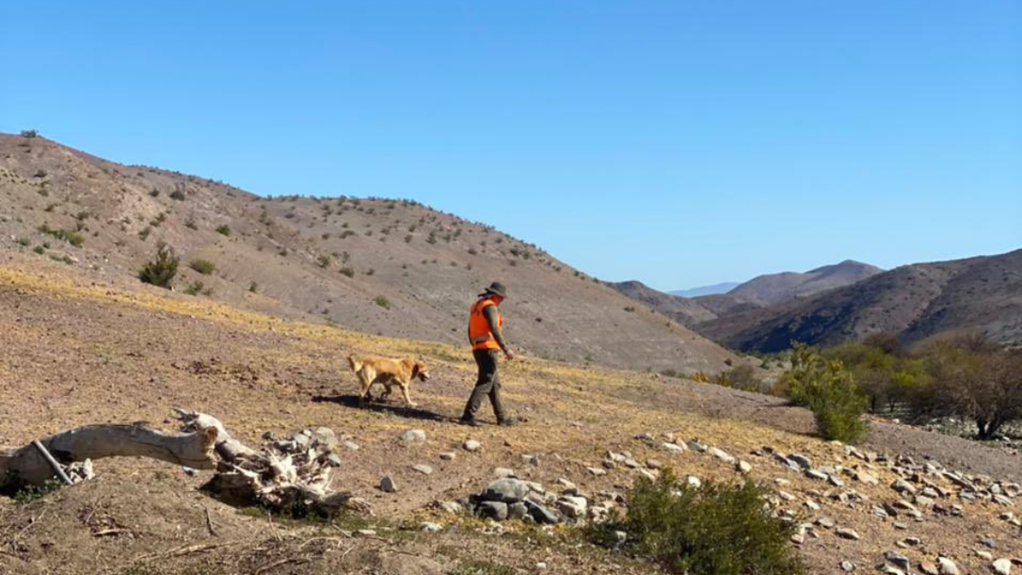 La incesante búsqueda del astrónomo británico extraviado en La Higuera