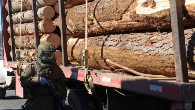  Carabineros ha recuperado 54 vehículos en delitos relacionados a robo de madera en el Biobío  