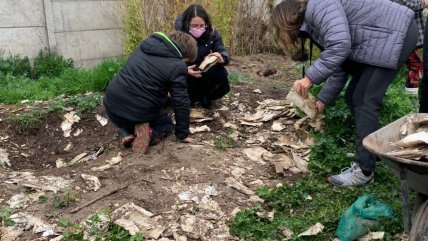  Escolares hallan enterradas obras ocultas de la escritora Stella Corvalán  