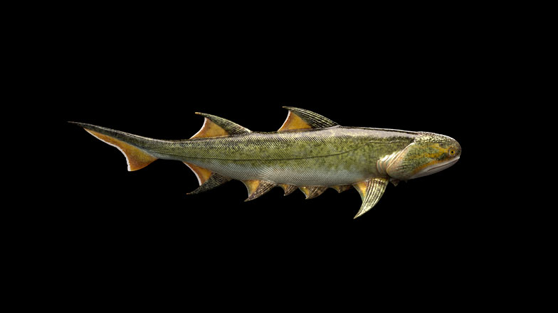 Imagen foto_00000012