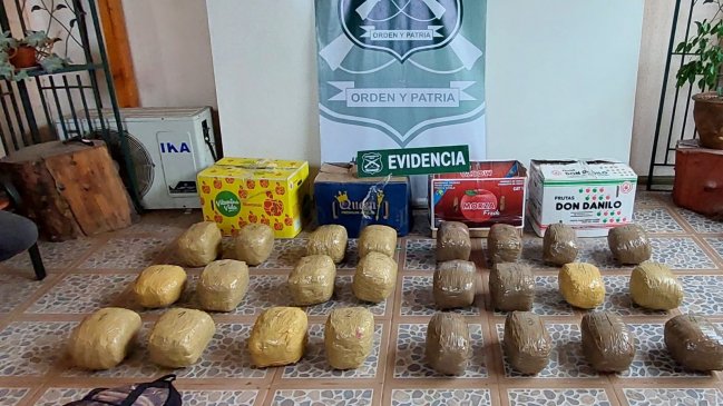 Carabineros incautó 114 millones en droga oculta en cajas de plátano