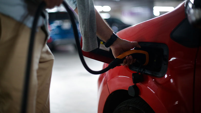 Imagen foto_00000014