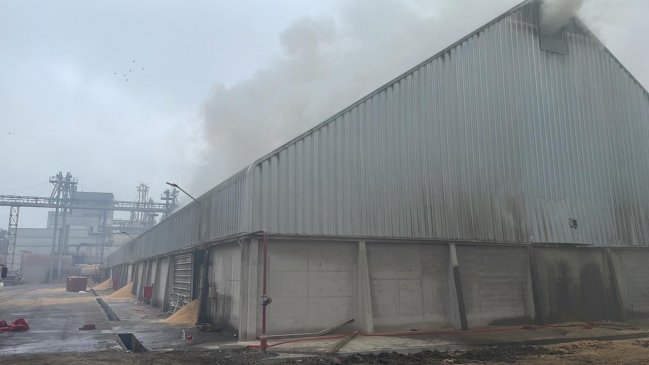 Incendio afectó a bodega de Agrosuper en Lo Miranda