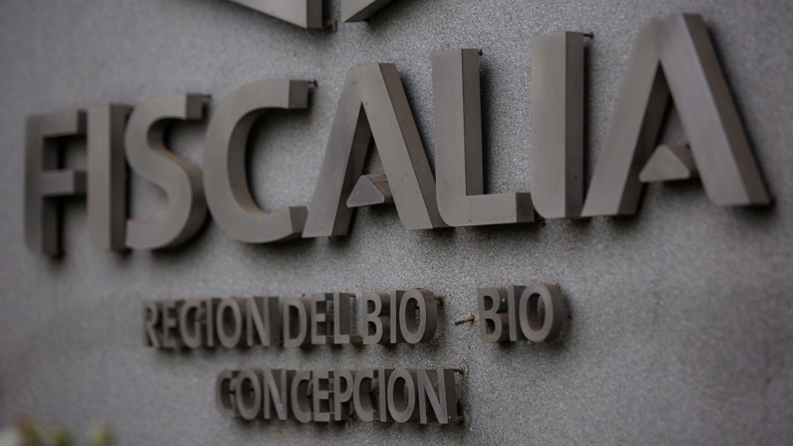 Robo de madera: Diputado Aedo expresó 