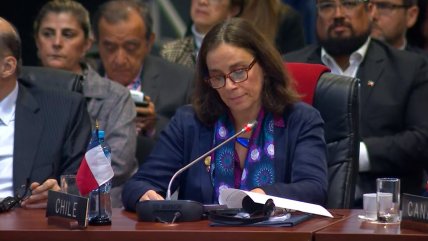  Canciller pidió en la OEA 