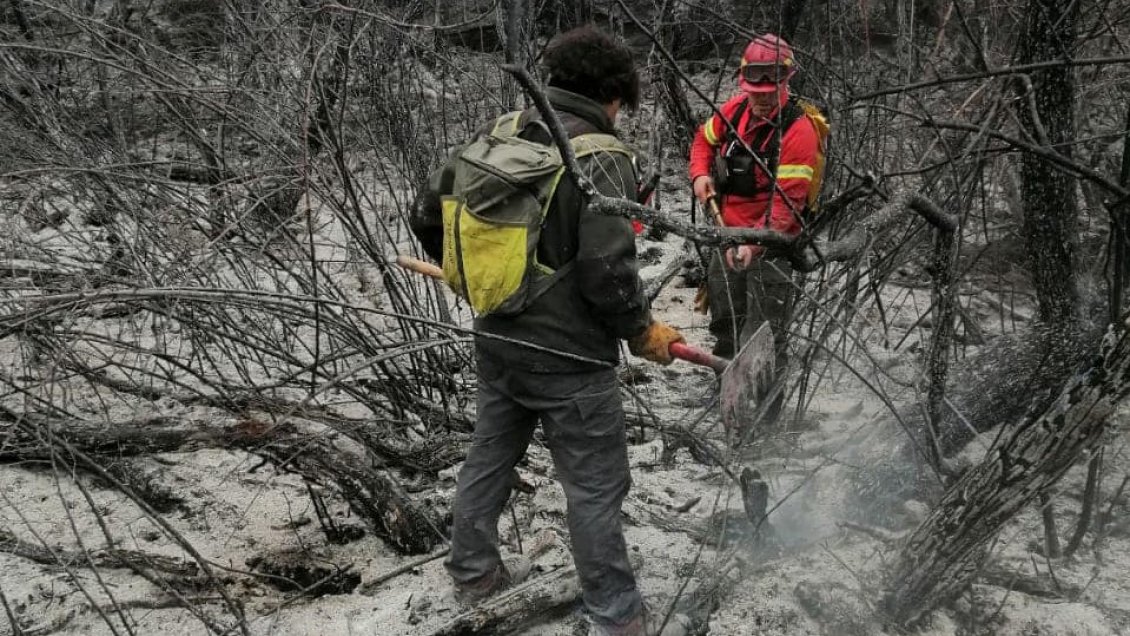 Aysén: Primer incendio forestal de la temporada consumió 1,2 hectáreas de bosque en Cochrane