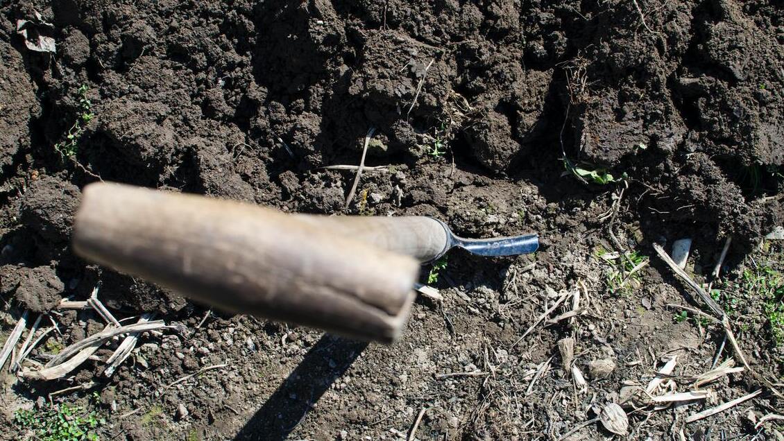 Nueva York a detalles de legalizar el compostaje de cadáveres humanos