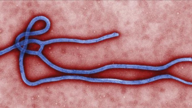 Uganda encuarentena dos distritos por brote de ébola