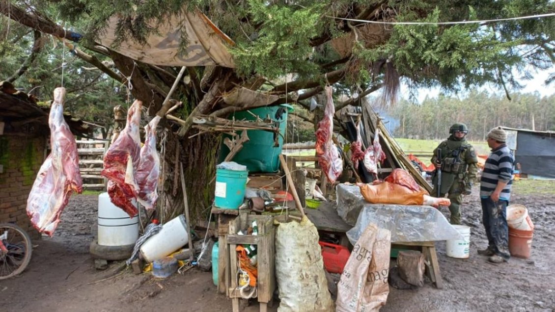 Fiscalía de Temuco pide siete de años de cárcel por robo de animales y faenamiento clandestino