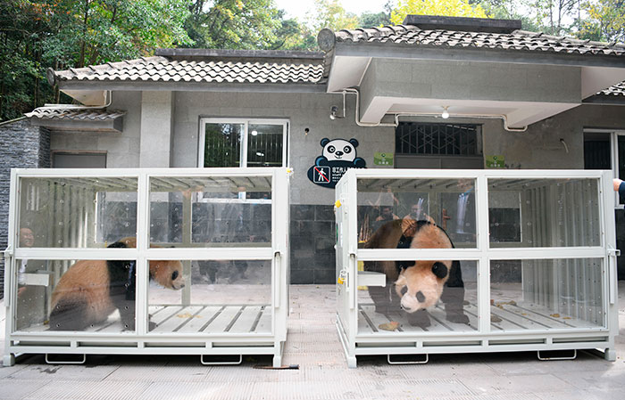 Imagen foto_00000002