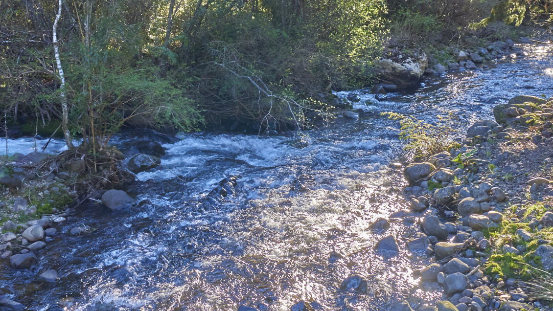 Corte Suprema puso fin definitivo a piscicultura en río sagrado de La Araucanía