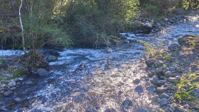 Corte Suprema puso fin definitivo a piscicultura en río sagrado de La Araucanía