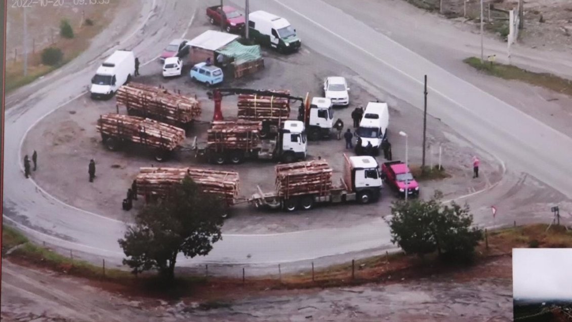 Robo de madera en macrozona sur: Fiscalía formalizó por asociación ilícita y denunció vínculo con la CAM