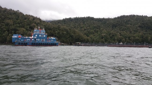 SMA ordena detener siembra de salmones en centro de cultivo en Parque Nacional Laguna San Rafael