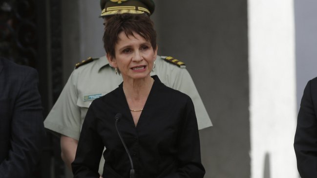 Gobierno espera presentar la próxima semana proyecto que reemplaza actual estado de excepción