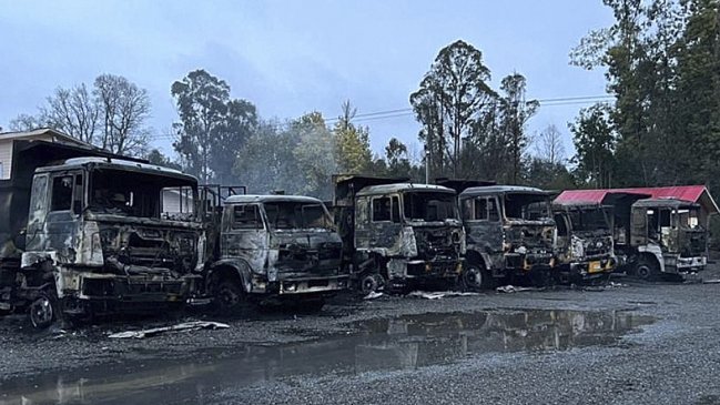 Contratistas forestales presentaron reclamación contra el Estado de Chile ante la OIT