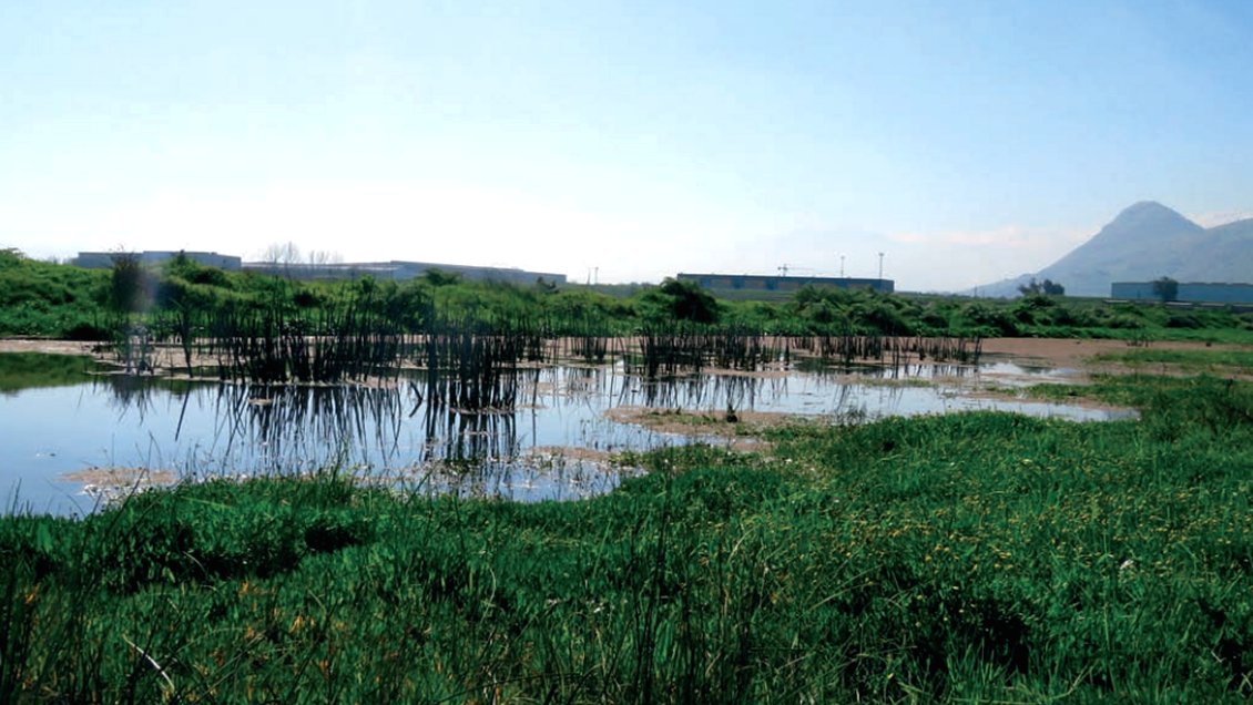 Justicia ambiental revocó reconocimiento al 