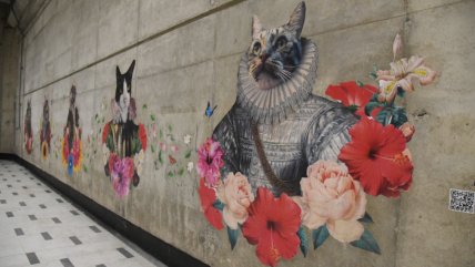   ¿Quieres a tu mascota en el Metro? Concurso lleva a tu gatos o perro a las estaciones 