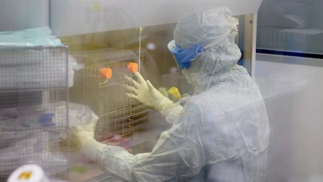 Ensayo demuestra eficacia de un fármaco que inhibe una proteína del cáncer