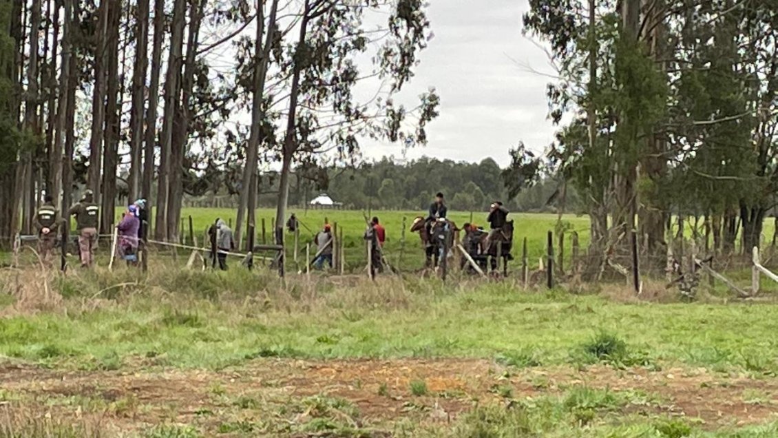 Multigremial denuncia maltrato animal por parte de comunidad que usurpó predio en Frutillar