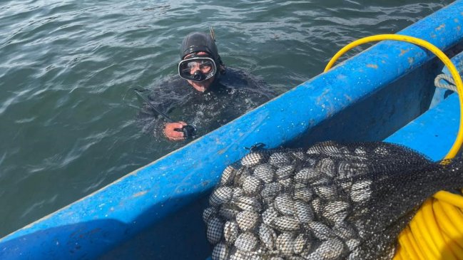 Autoridad detectó nuevo foco de marea roja en la Bahía de Coronel