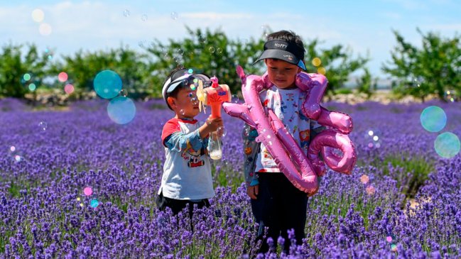 China inicia programa piloto para construir mejores comunidades urbanas