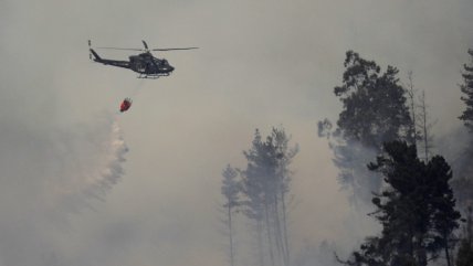   Más de 5.000 hectáreas quemadas por múltiples incendios forestales: seis siguen activos y dos ya han sido controlados 